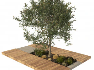 Olive tree with wood deck planter 3D Model