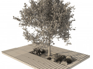 Olive tree with wood deck planter 3D मॉडल
