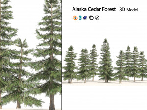 Alaskan Yellow Cedar Forest Modelo 3D
