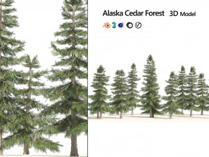 Floresta de Cedro Amarelo do Alasca Modelo 3D