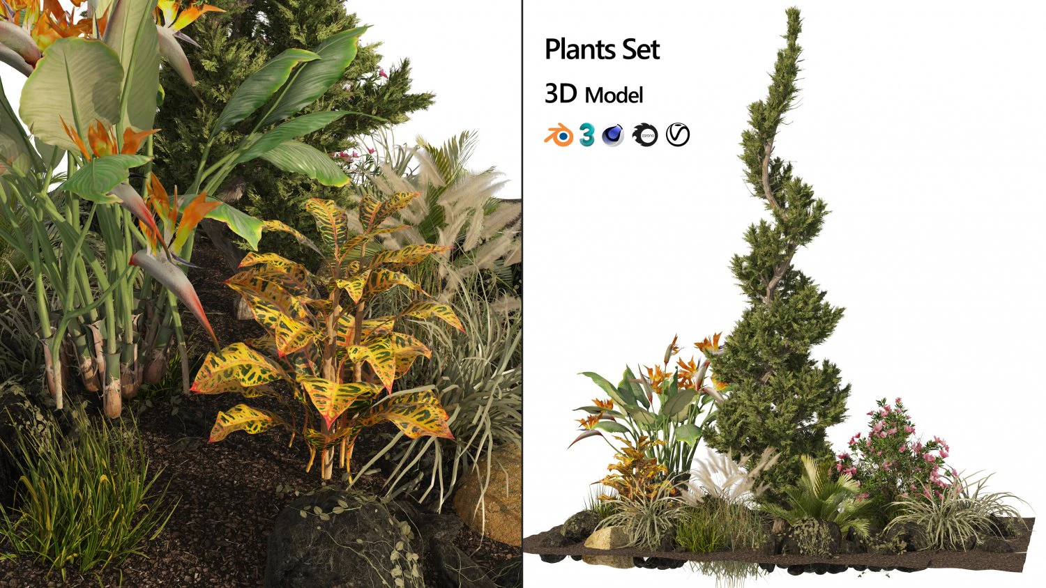 Garden Plant set 3D Model .c4d .max .obj .3ds .fbx .stl .blend 