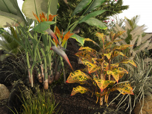 Garden Plant set 3D Модель