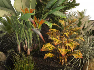 Garden Plant set 3D Model