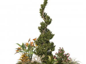Garden Plant set 3D Model