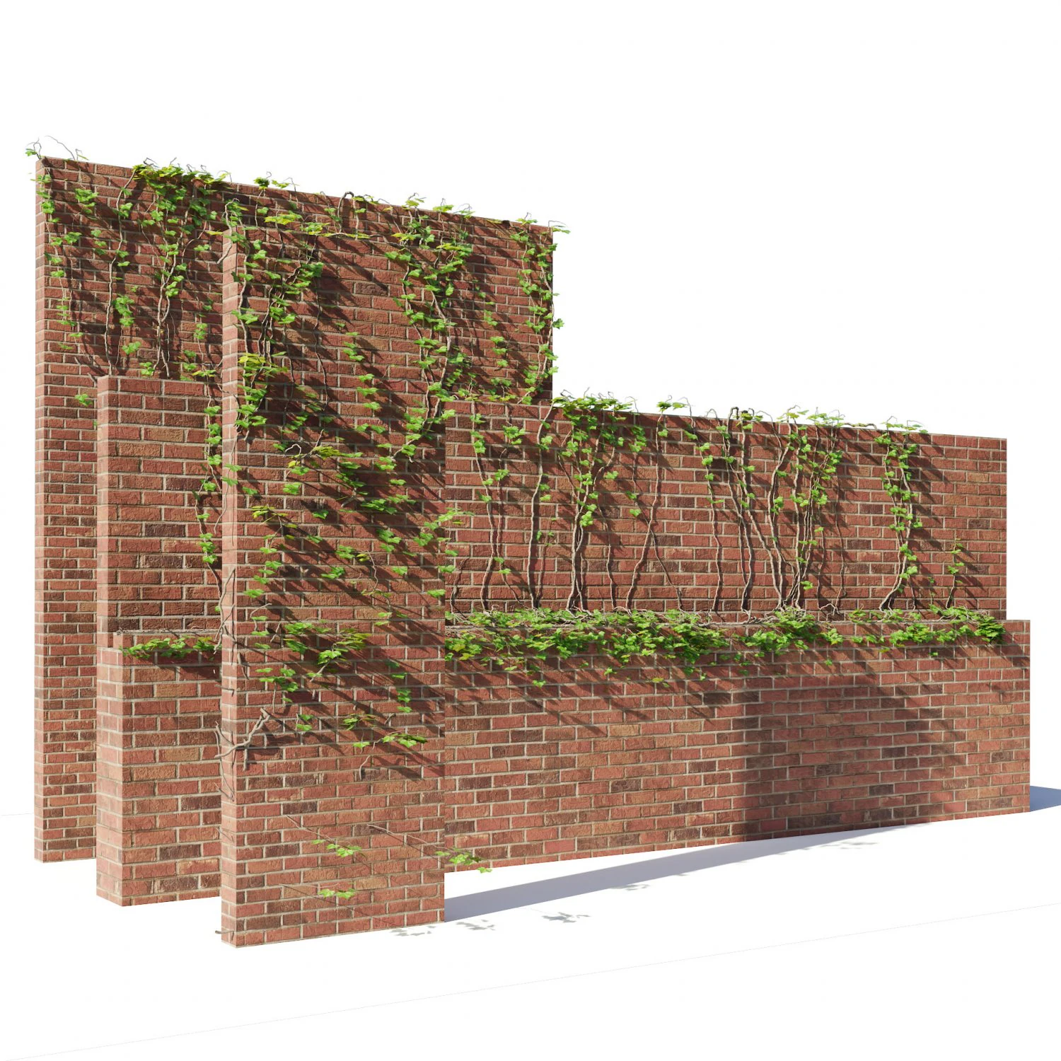 Brick walls with climber plant 3D Model .c4d .max .obj .3ds .fbx .stl .blend 