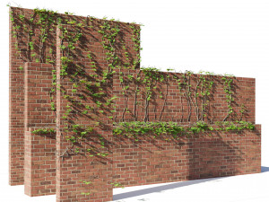 Brick walls with climber plant 3D Model