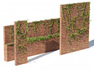 Brick walls with climber plant 3D Model