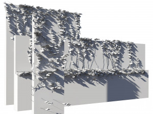 Brick walls with climber plant Modello 3D