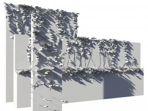 Brick walls with climber plant 3D Model