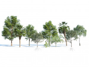 Park trees collection 3D Model