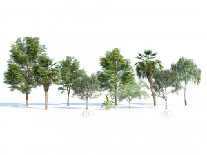 Park ağa&ccedil;ları koleksiyonu 3D Model
