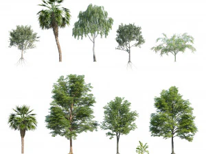 Park trees collection 3D Model