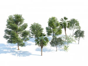 Park trees collection 3D Model