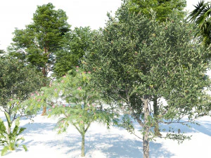 Park trees collection 3D Model