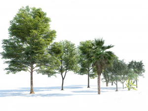 Park trees collection 3D Model