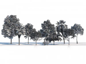 Park trees collection 3D Model
