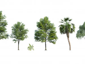 Park trees collection 3D Model