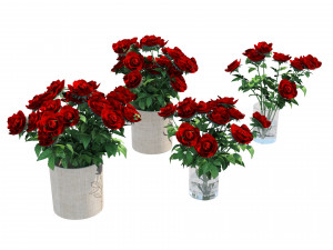 Red rose flower vases 3D Модель