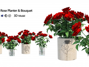 Red rose flower vases 3D Модель