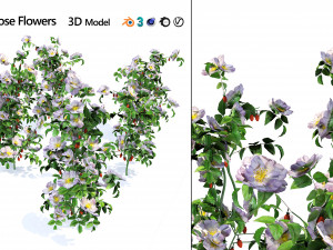 Rose Hip flower cluster 3D Model