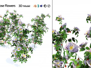 Rose Hip flower cluster 3D Model