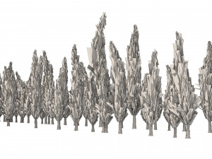 Mediterranean cypress trees Modèle 3D