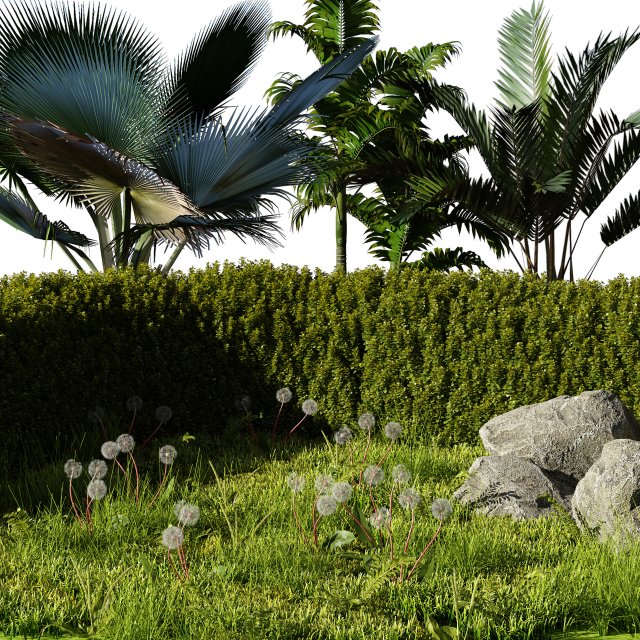 Garden Plants Collection Modelo 3D .c4d .max .obj .3ds .fbx .stl .blend 