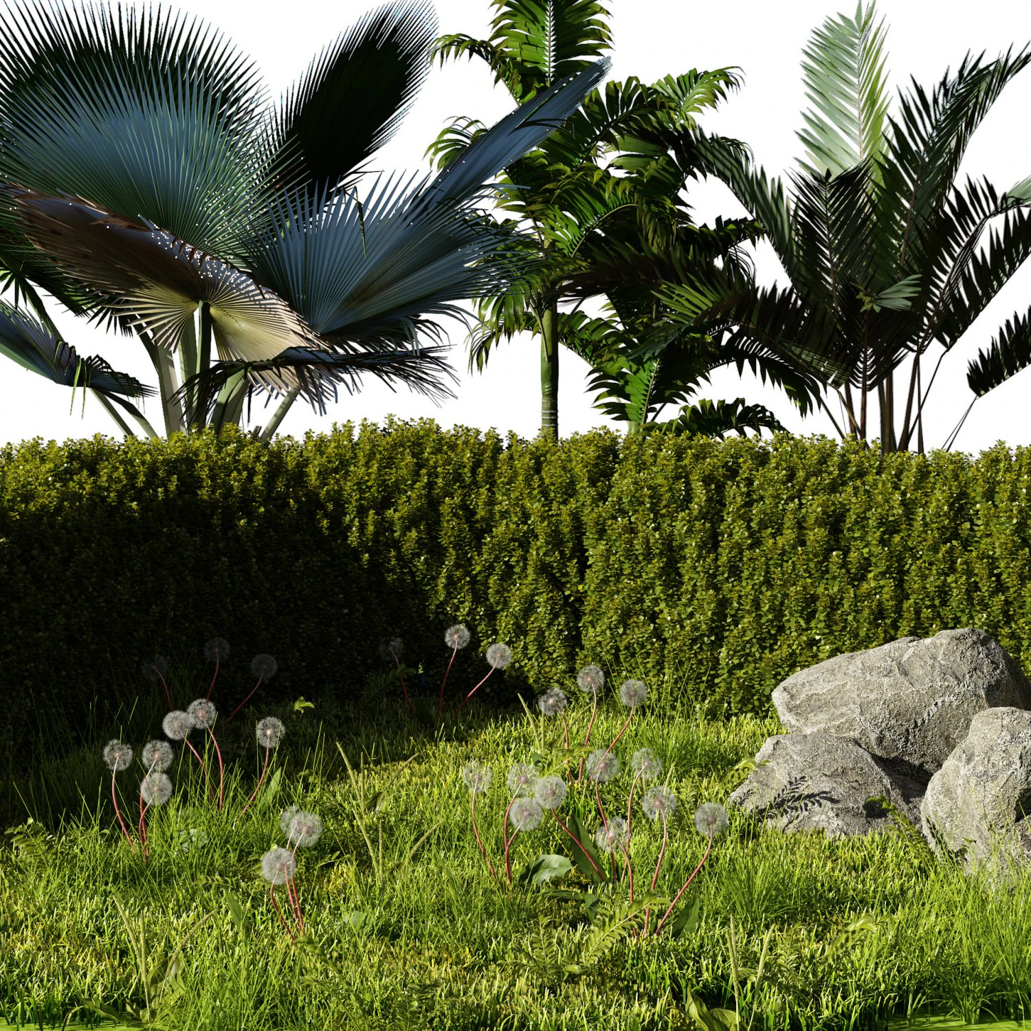 Garden Plants Collection 3D Model .c4d .max .obj .3ds .fbx .stl .blend