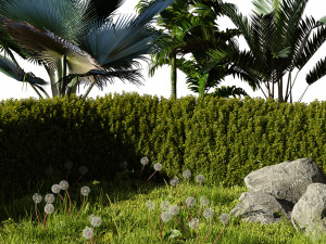 Garden Plants Collection 3D Model