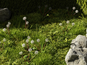 Garden Plants Collection Modelo 3D