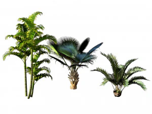 Garden Plants Collection 3D Model