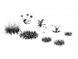 Garden Plants Collection Modelo 3D