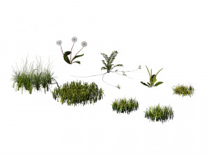 Garden Plants Collection Modelo 3D