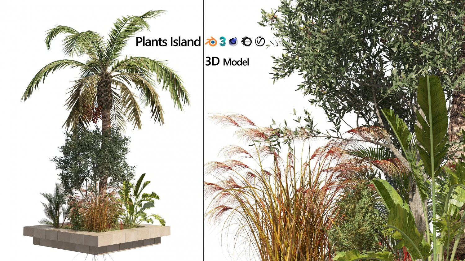 Island plants collection 3D Model .c4d .max .obj .3ds .fbx .stl .blend