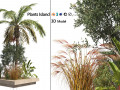 Island plants collection 3D Model