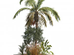 Island plants collection 3D Model