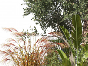 Island plants collection 3D 모델