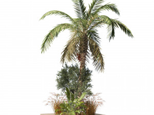 Island plants collection 3D 모델