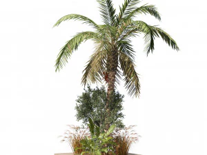 Island plants collection 3D Model