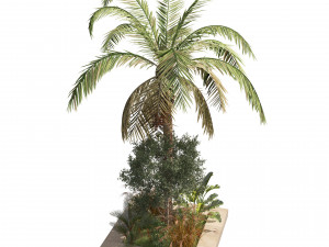 Island plants collection 3D 모델
