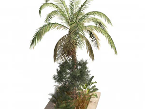 Island plants collection 3D Model