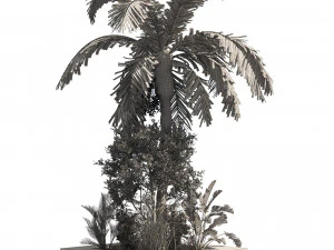 Island plants collection 3D Model