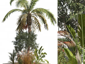 Island plants collection 3D Model