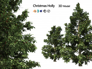 Scrub holly trees with red berries 3D Model