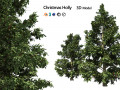 Scrub holly trees with red berries Modelo 3D