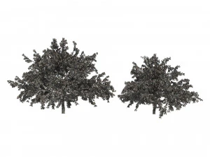 2 Freestone Peach fruit Trees 3D Model
