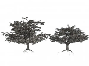 Cerejeiras floridas e frut&iacute;feras Modelo 3D