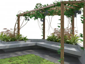 Crape vine pergola backyard 3D Model