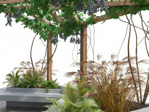 Crape vine pergola backyard 3D Model