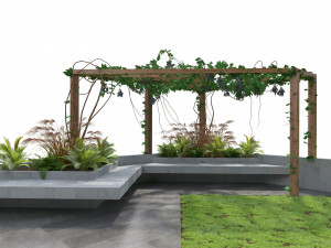 Crape vine pergola backyard 3D 模型
